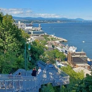 Meet your Posher, Trabelsi